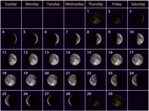 2.3 Viewing the Moon: Phases and Eclipses – Earth & Space Science