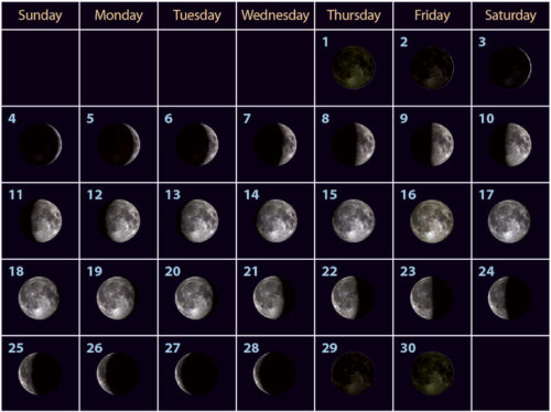 2.3 Viewing the Moon: Phases and Eclipses – Earth & Space Science