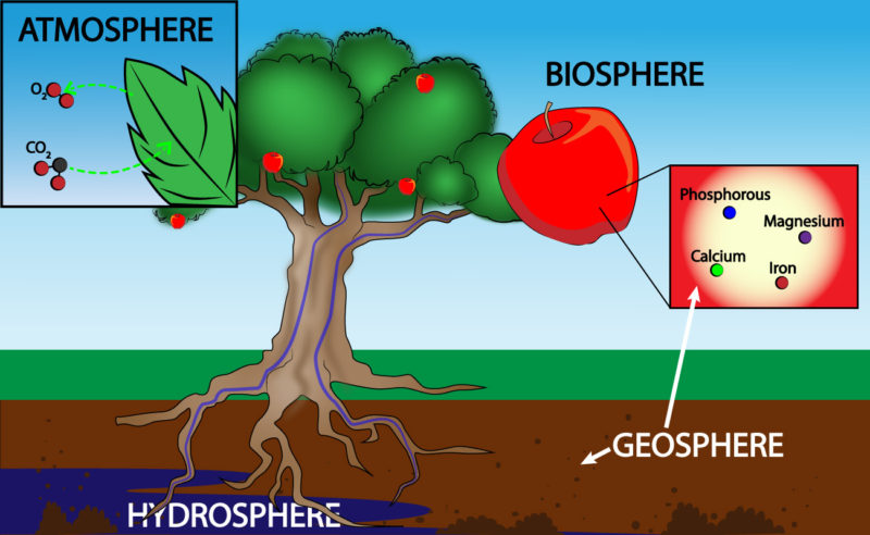 4.2.1 What are Earth’s four major systems? – Earth & Space Science