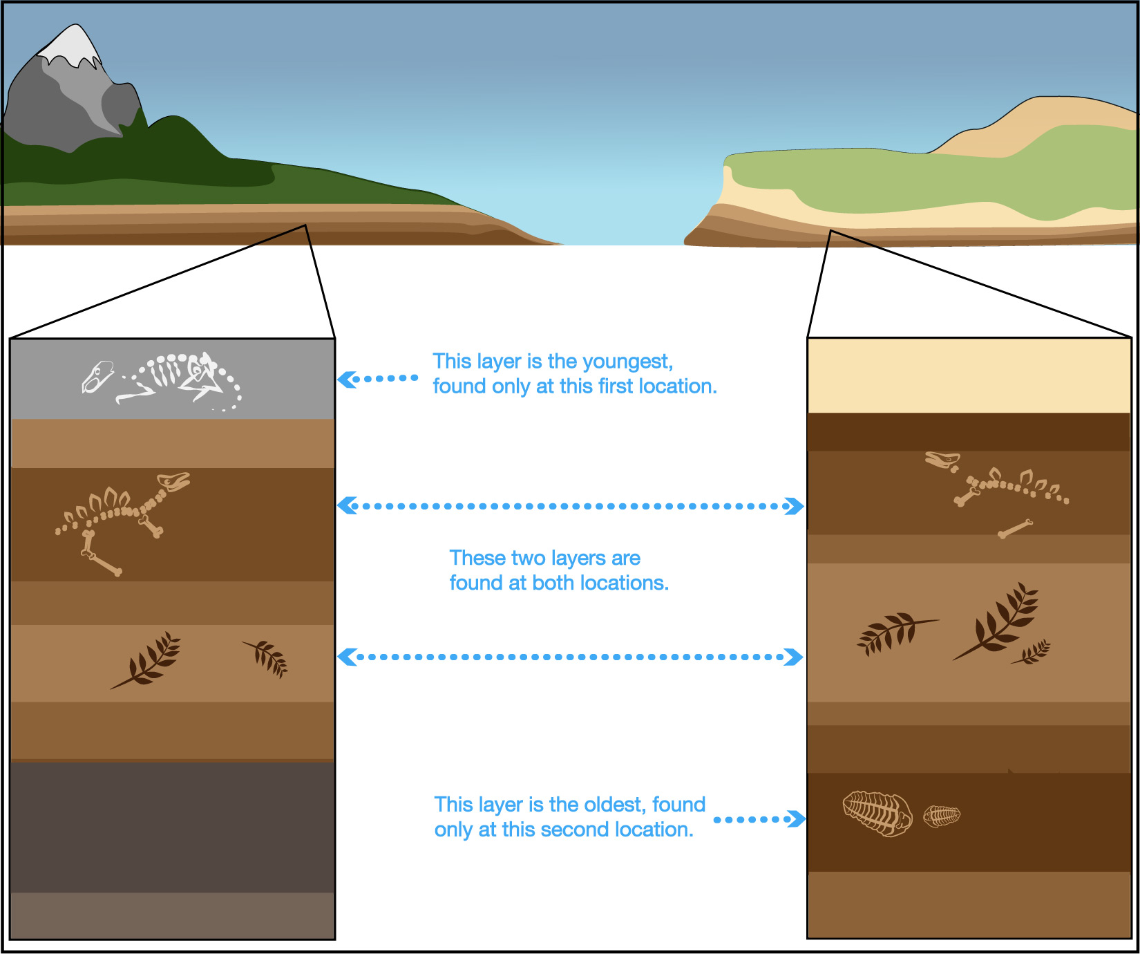 Sedimentary Rock Layers With Fossils