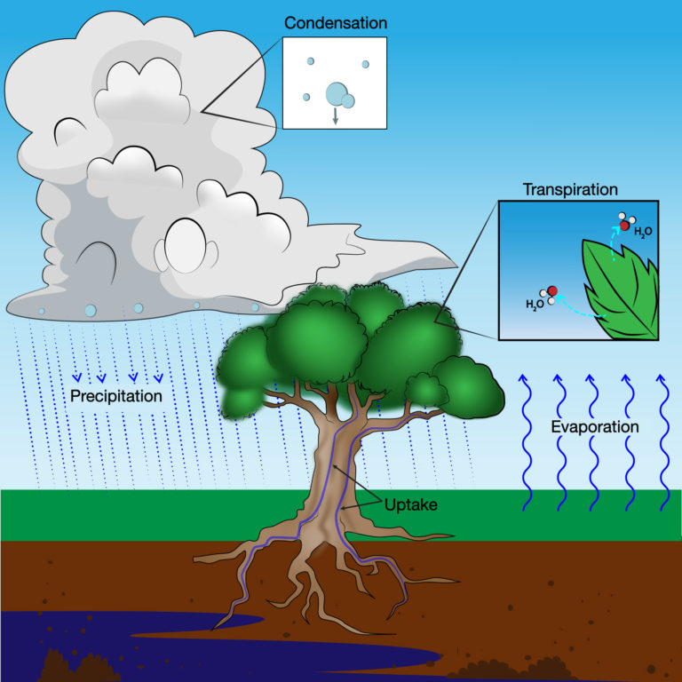 year-4-water-cycle-stoneygate-school