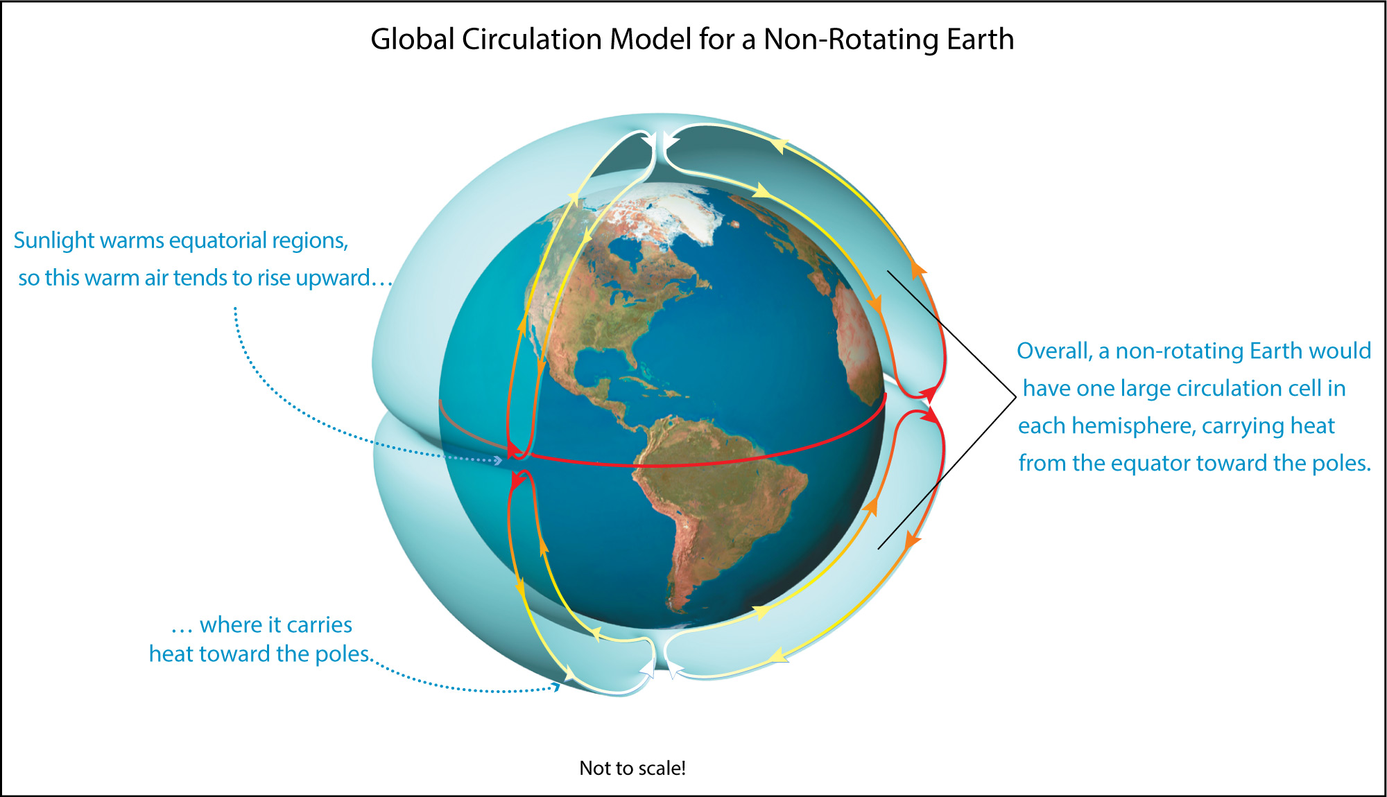 global circulation cells