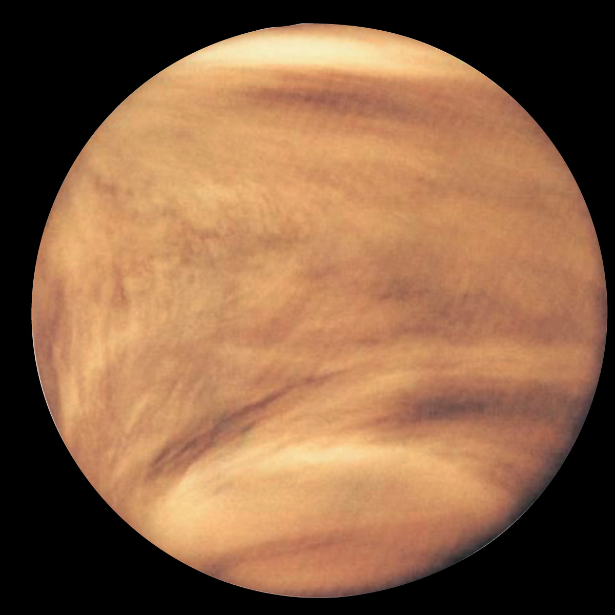 venus